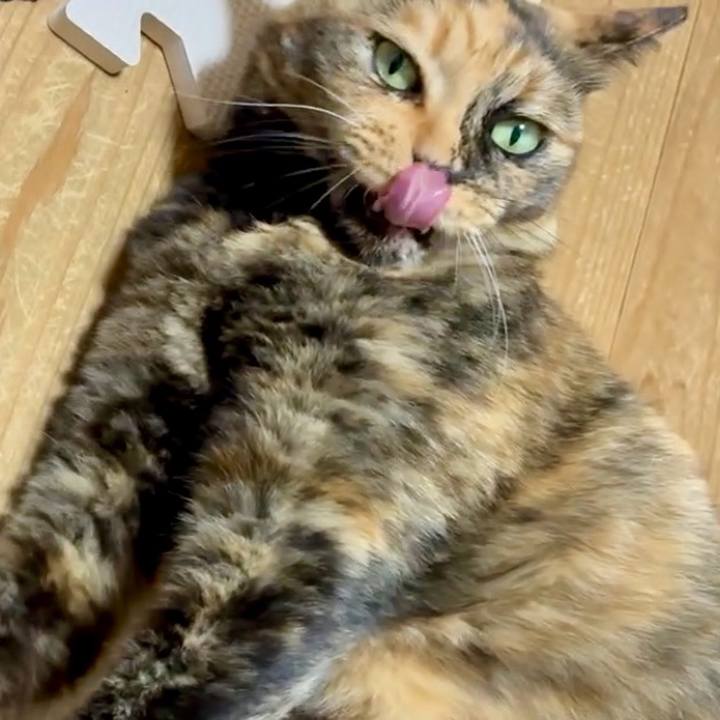 880a22cc 54e7 416a be2a 01d0c7b23f8d 1754042666247