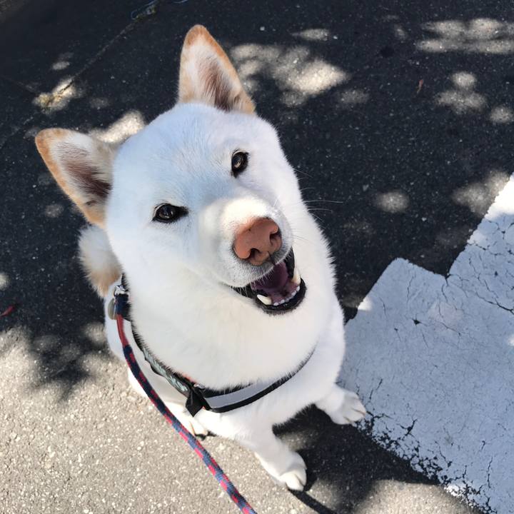 880a4374 1b3e 4b27 842e 86ed29d04205 1530492900021