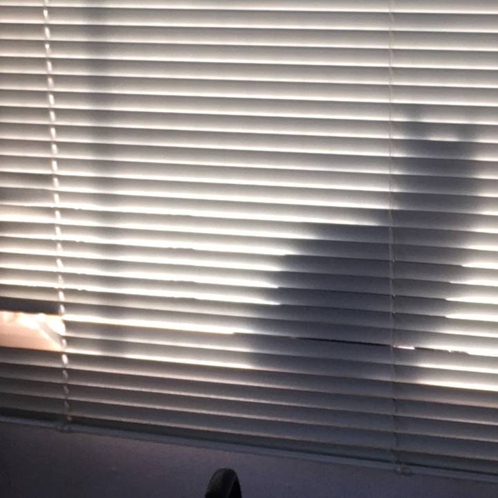 880a9a37 41fa 4b5d 9b44 39d1e07d9777 1533509428468