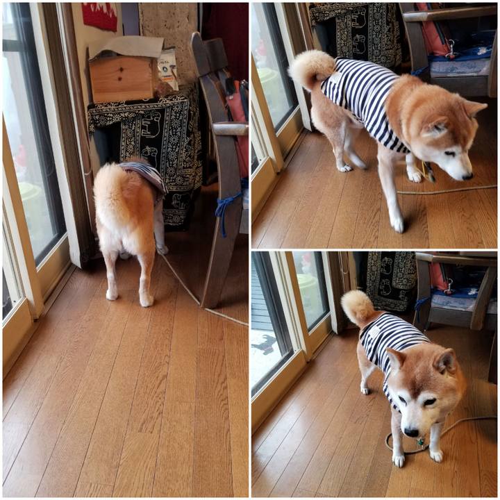 880aca3a 1cf3 4375 ab59 b1188fdb4add 1643698115585