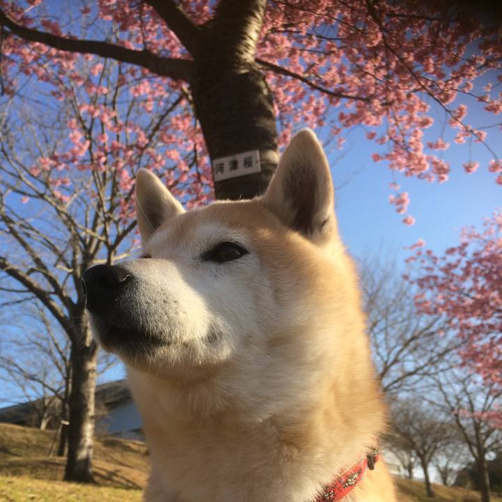 880b1b6a 49d1 4214 bd98 dd63a54a6c80 1549966261579