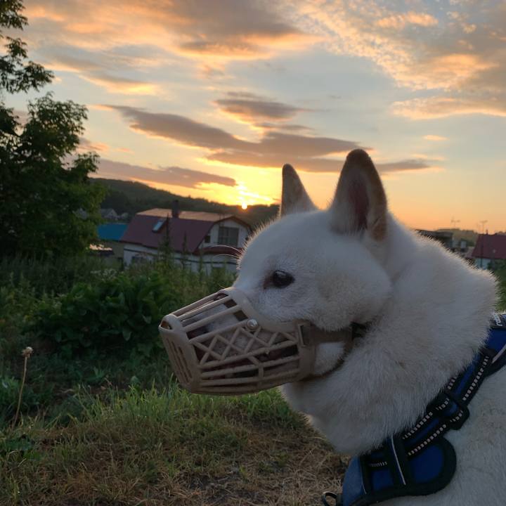 880b2069 bf84 4ce5 b3e6 d39d1c24501f 1627590468275