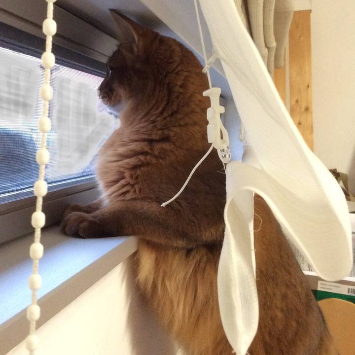 880b5979 245b 4390 87b0 924d4c098a69 1612047595110