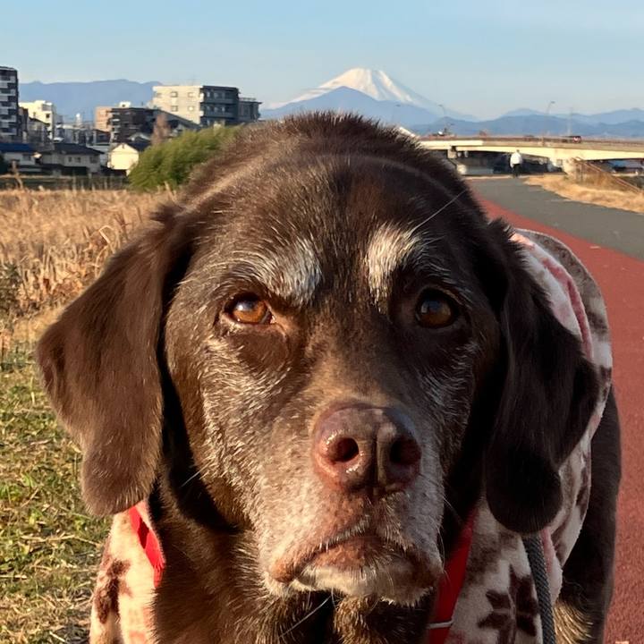 880ba1c5 531c 4db0 a0bf 9c69fed9b068 1767180514164