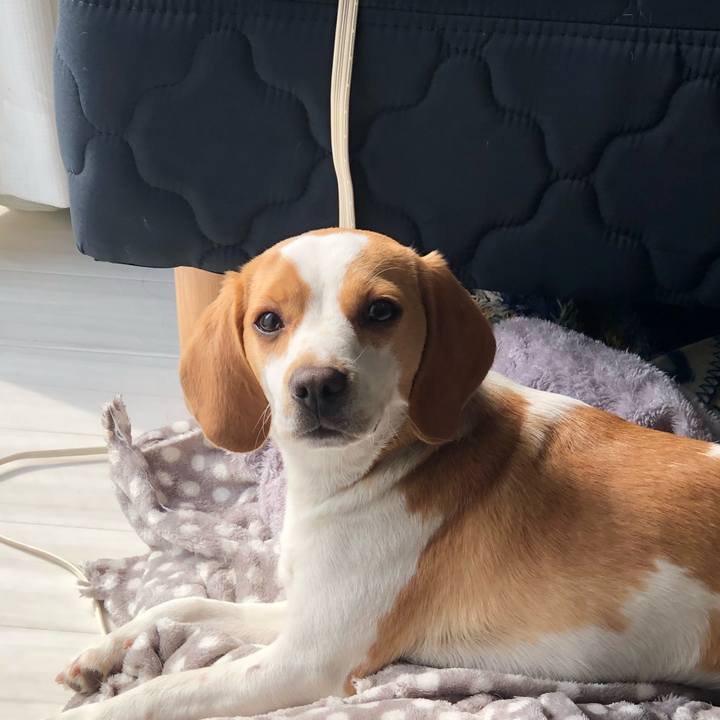 880ba45d cc32 4d83 921a c4685f0c7393 1553751319865