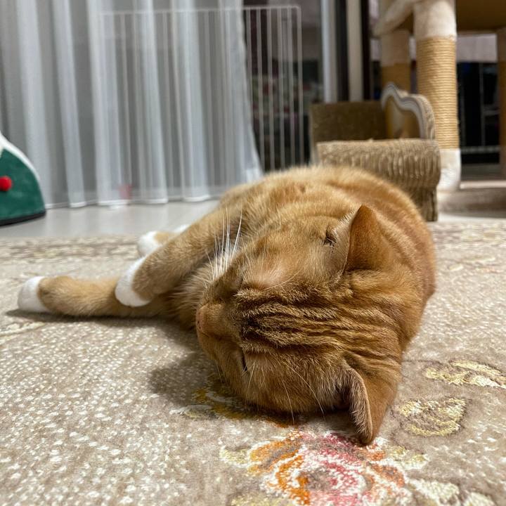 880bc711 badf 4207 a285 d67bce875eb7 1624186042722