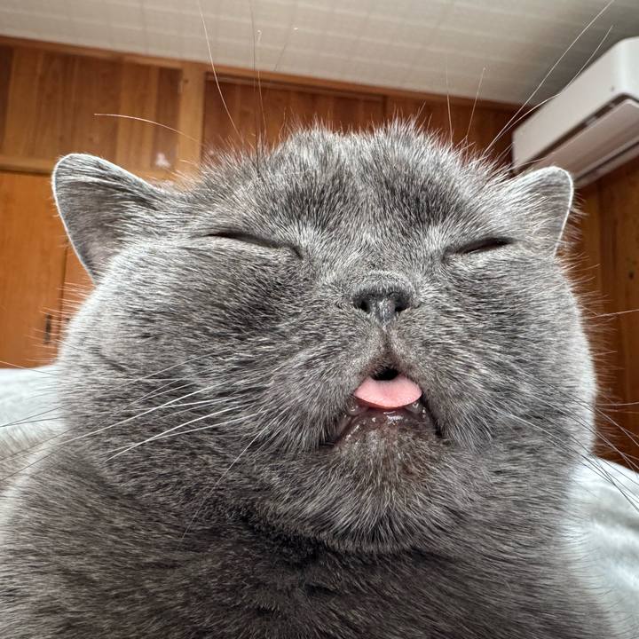 880bc7ea eb4a 4e41 874b 2916ffe4ba95 1767434623201