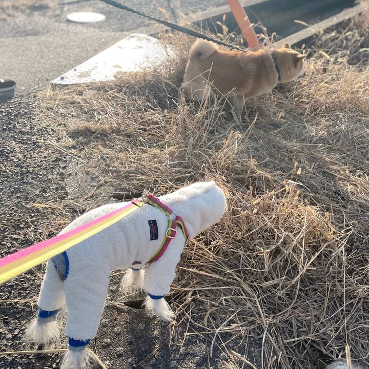 880bd8a9 161e 4493 b2df 1f9bafbb4edf 1765272206855