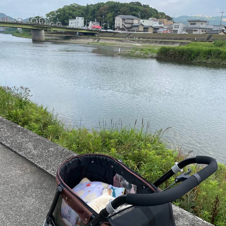 880bd994 034a 4943 9bf0 58b400e54c37 1655971444321