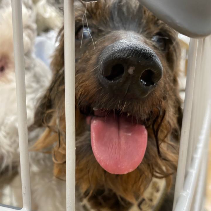 880bf187 0434 4545 ae34 df0aa0caa572 1628089923272