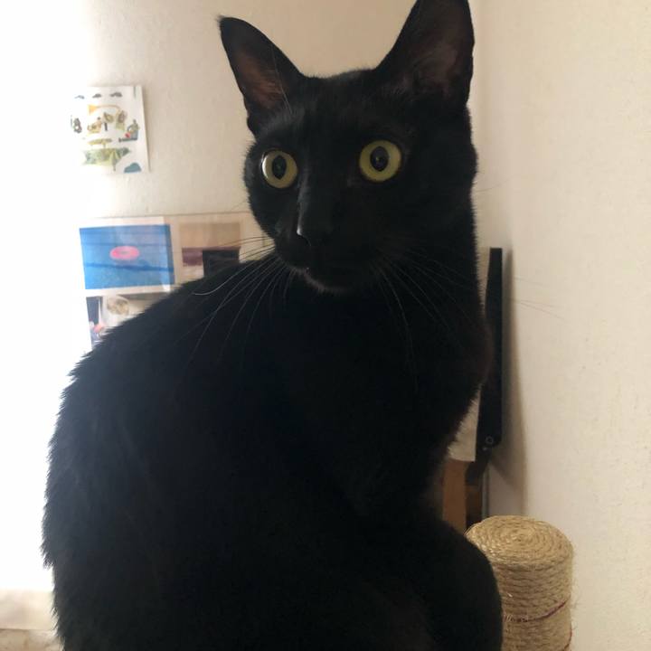 880c0985 ca48 46ae 94e8 a5a1c099dc89 1579314273164