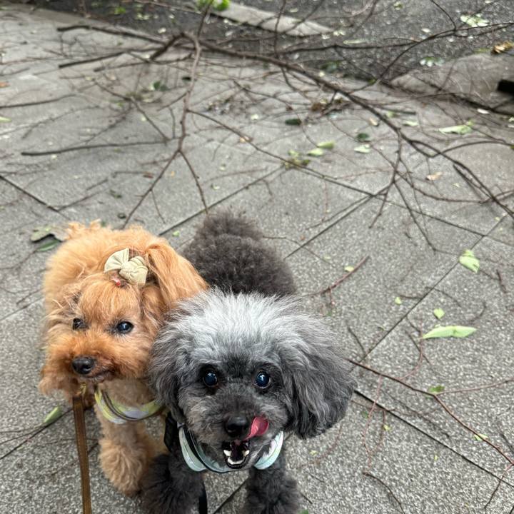 880c84ea 2d83 462d a96a 2d51f877420a 1716939978398