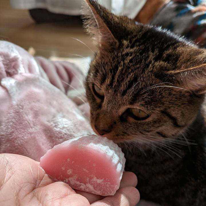 880ca961 ba2a 469c a23f 58becf419e4c 1700355431058