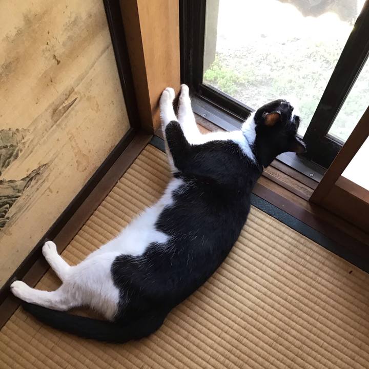 880cf7fc 0e58 4981 803c b569610af911 1756536614996