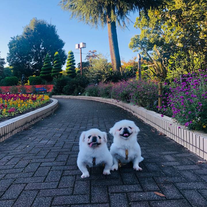 880cfafe d9b8 466c 89dd c8943bac6f70 1632009433928