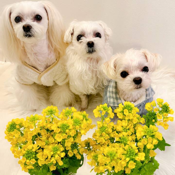 880d3096 3579 4405 9daf f866435d3ea3 1706780435588