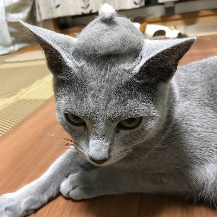 880d492b 7113 47de 8778 6207e8e7da7a 1523969419543