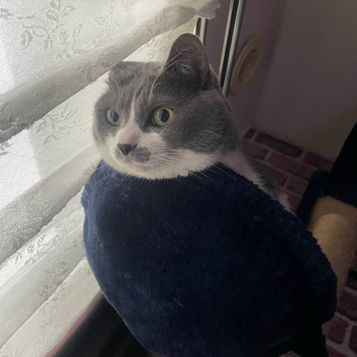 880d84e8 98dc 430f 9694 c5b6cad9440c 1710196101196