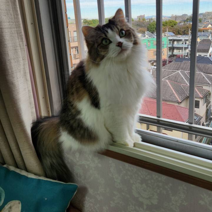 880da9e8 e69e 478b a8d9 598b3be2ca14 1762054483975