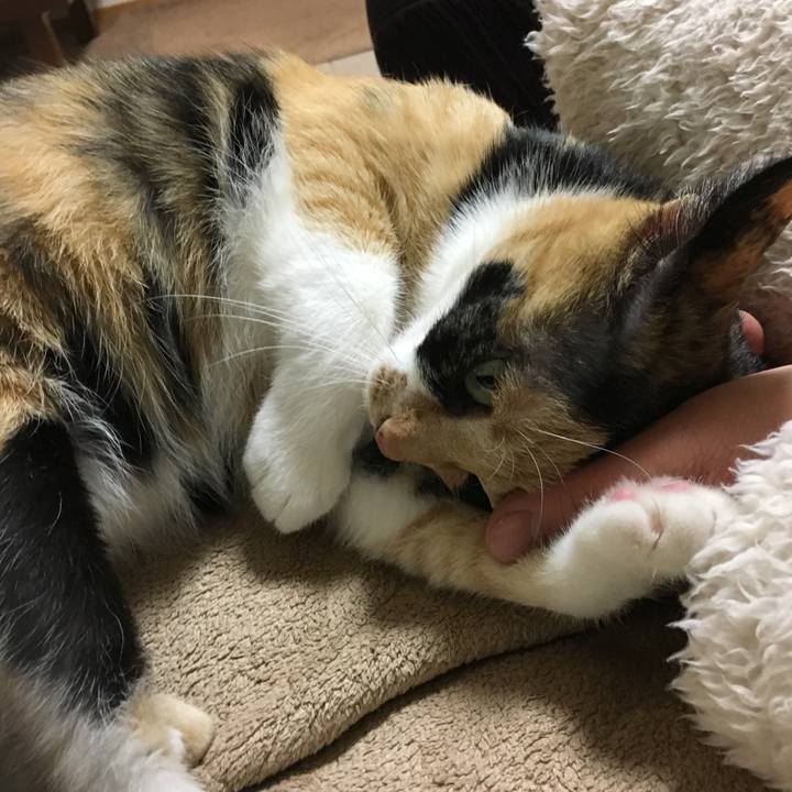 880dc4b8 462d 45ad 99aa 521a71561b42 1517141483806