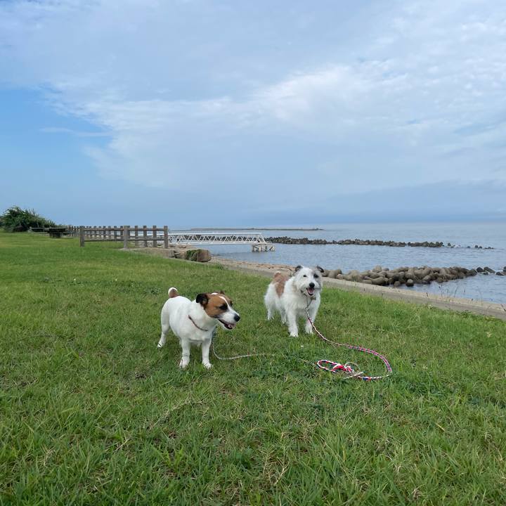 880e5f24 cbb9 4718 ac59 ecb398f4f785 1726271491874