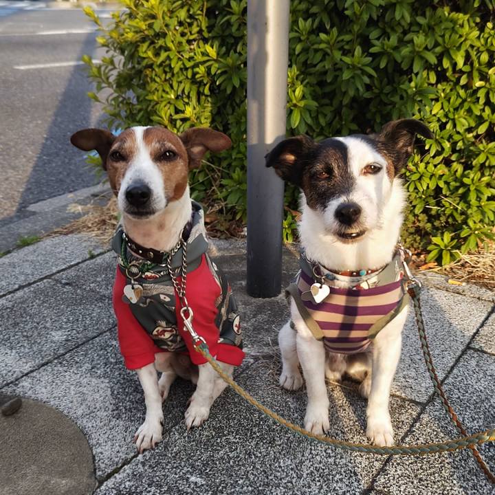 880e68b9 3885 4c6e a550 8a1b1dc02bbd 1742853048112