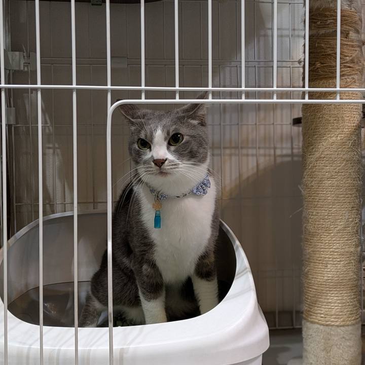 880e6d9f b5bc 4862 beac 128fd8556c20 1737258592154