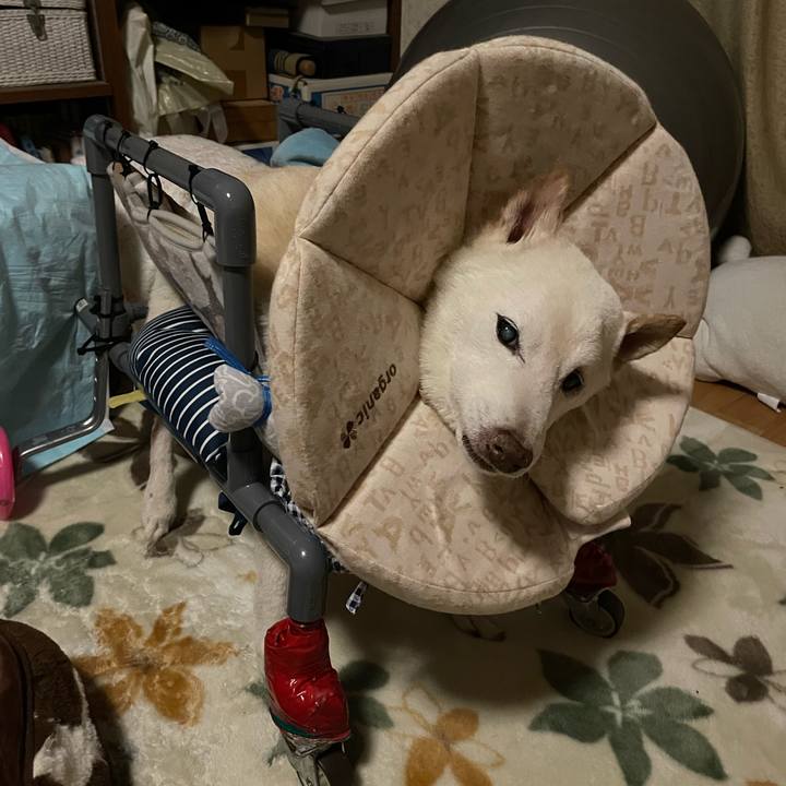 880e9009 17ea 4c30 8409 8091176f2055 1676489012268