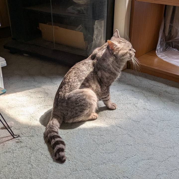 880e9bc8 022b 4194 8764 150484cf37fb 1747283190298