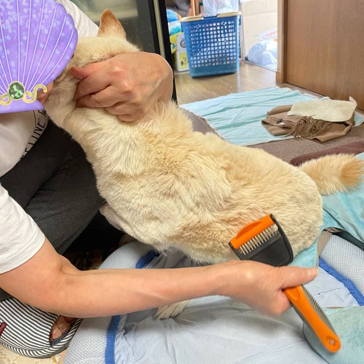 880eb274 6dbe 48b2 a5fe d8d5a1db0394 1657859343885