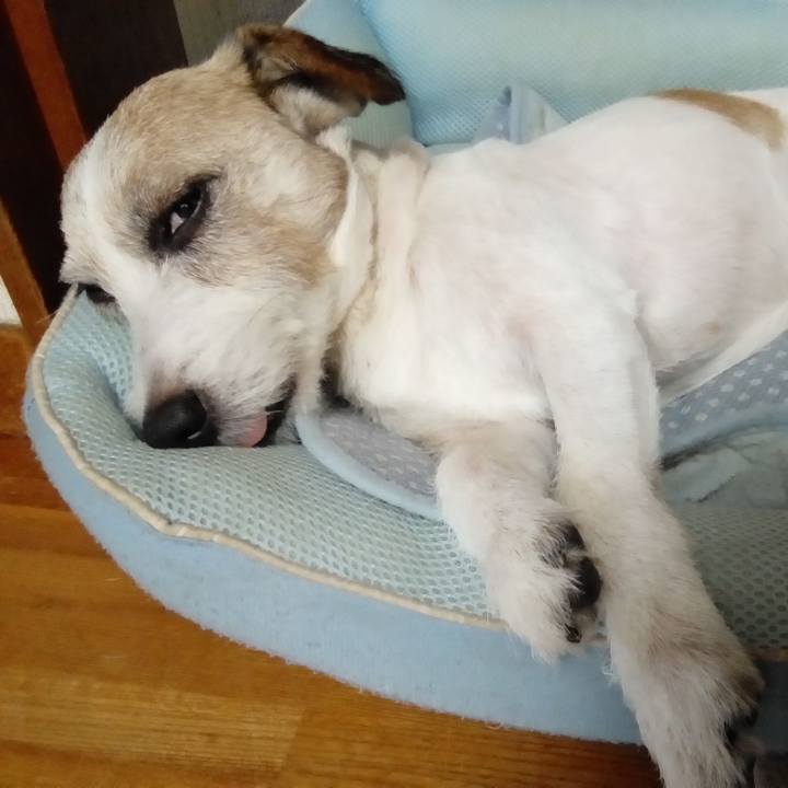 880ec028 2b35 4a2b 8b3d b4208126be34 1567942265607