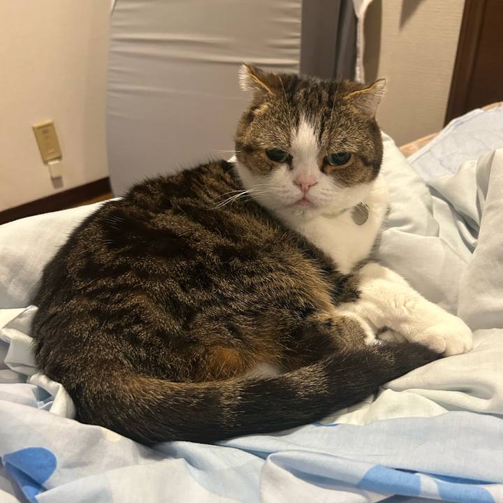 880ef393 9def 4f80 a6f5 f9009c8e1cc2 1759579636732