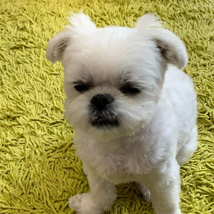 880ef4ab 88d7 48d1 8c8e 059bd75bf448 1650175371051