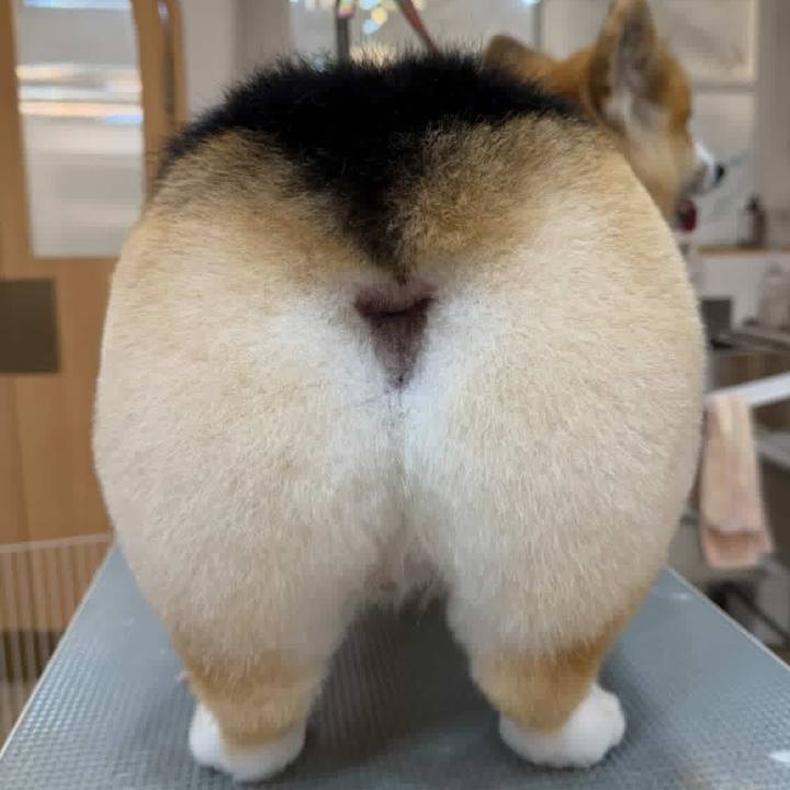 880f2251 edfc 4c85 ab4c 5ed5fccd991b 1770211498685