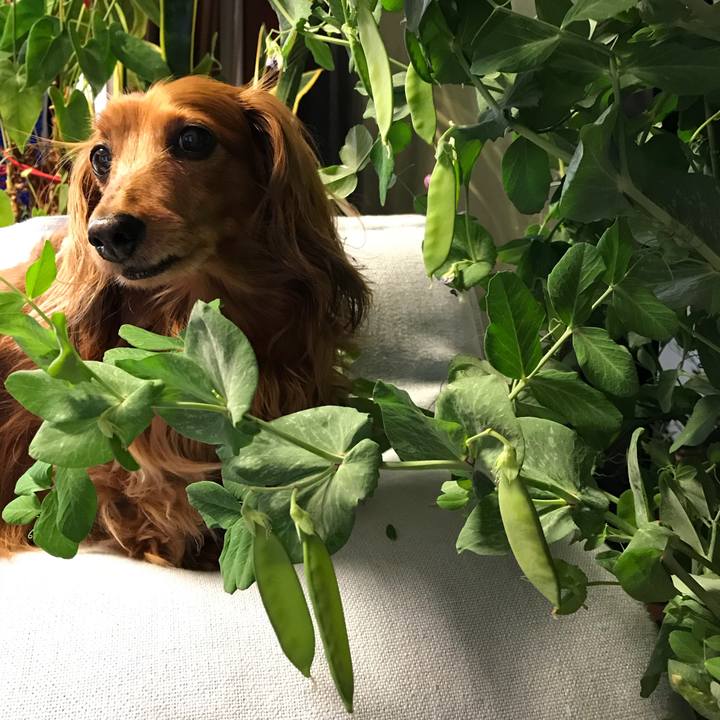 880f9746 c587 4854 9c80 109f1d1772cb 1522755733408