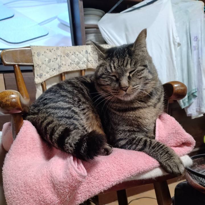 880fa350 8953 464a bc4f 518bcc9a6d31 1707519028436