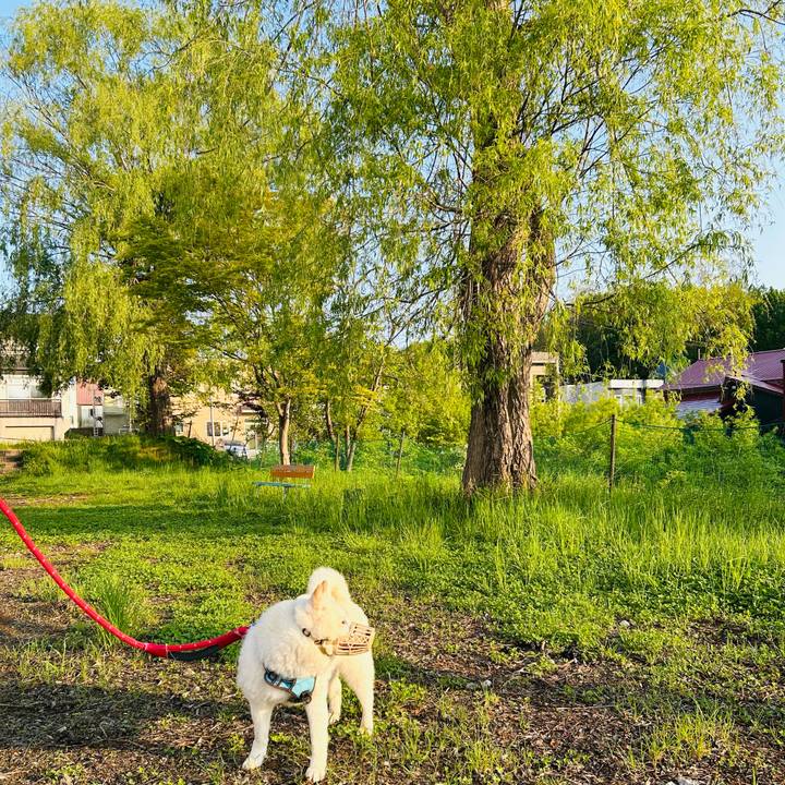 880fa678 54f5 4191 ad5b 5fdd01b62273 1748383845891