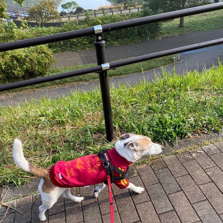 880fd758 889f 481a b2c8 3cb13802e186 1604797978975