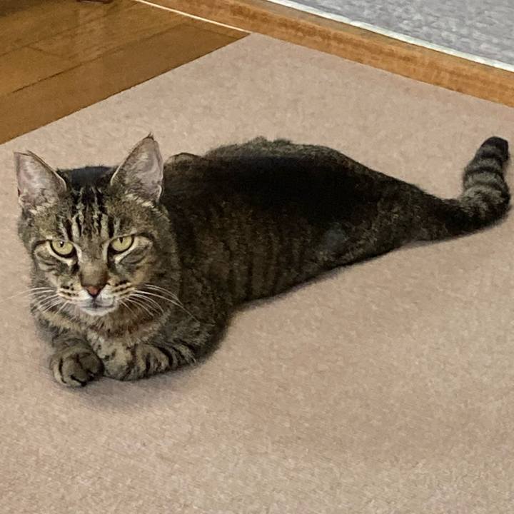 880ffc9b 0ce5 4160 8d22 648e275a4d75 1627121981960