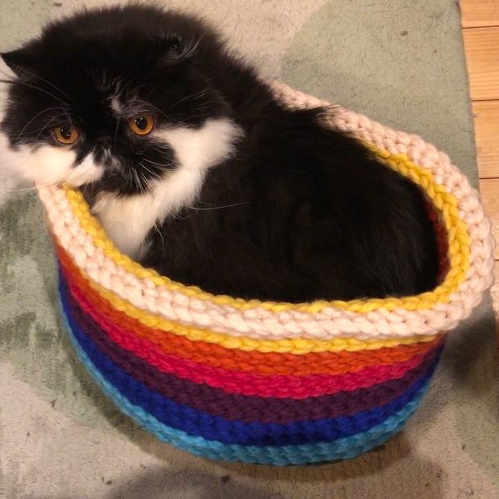 88105b66 e94d 4e05 a99e 74c717873ae2 1544970421137