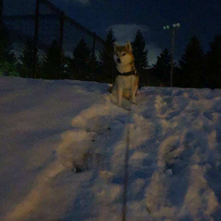 8810601c cd3d 49ee be8c 7c5495044b94 1578995105779