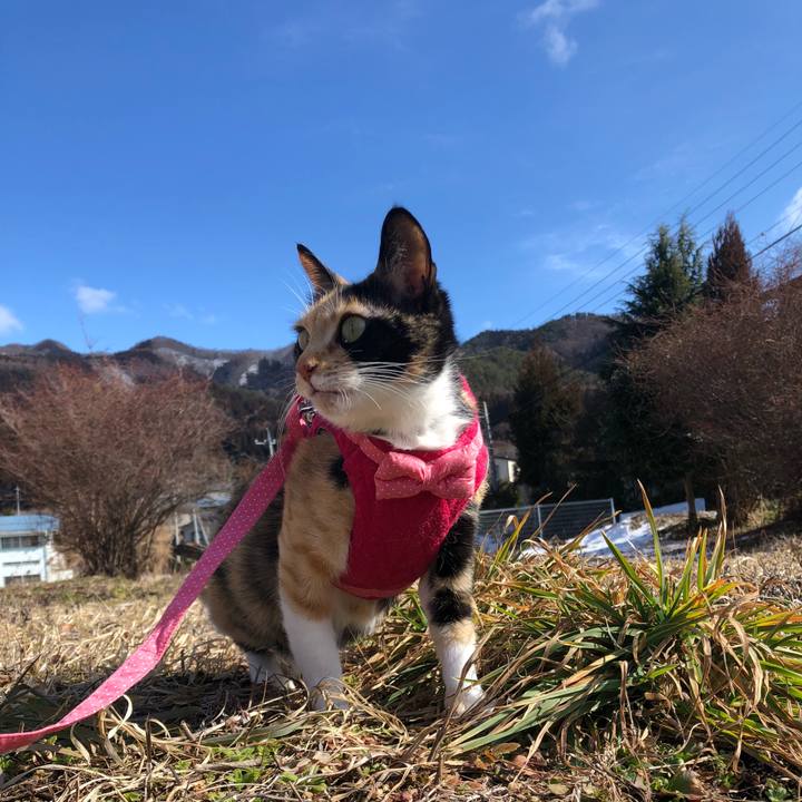 881060b2 f45a 4712 a87c 47bac644b7c9 1580613489770