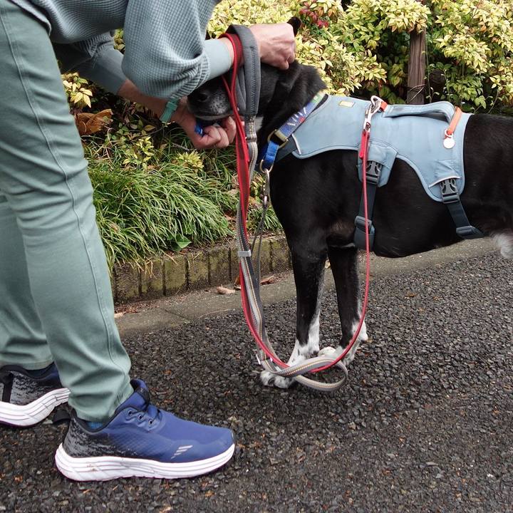 88106c4d 11ce 4545 8d99 b9c457281768 1711932335260