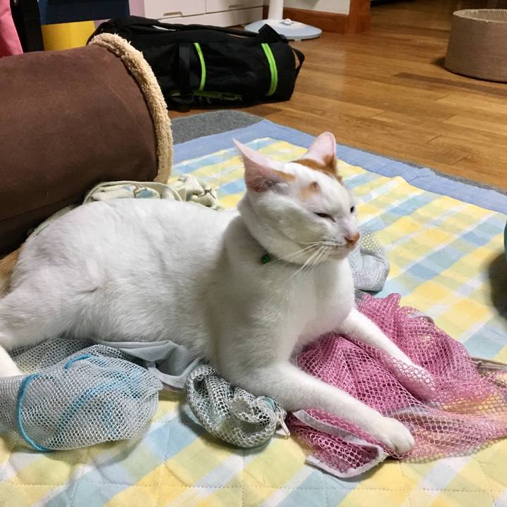 8810b489 a388 443f 8aa2 26592b719828 1527517028560