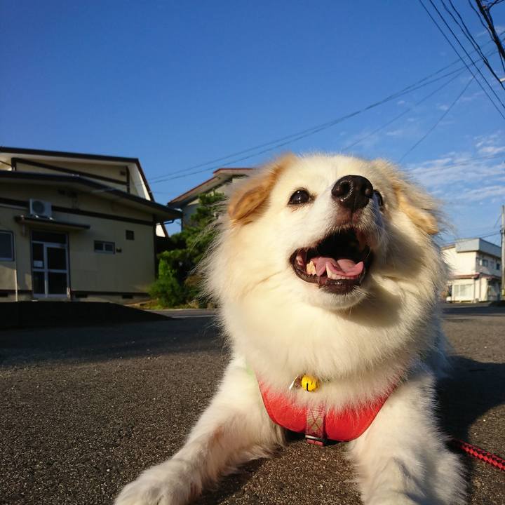 8811037f eef9 420a bf8e 657411622479 1536227984903