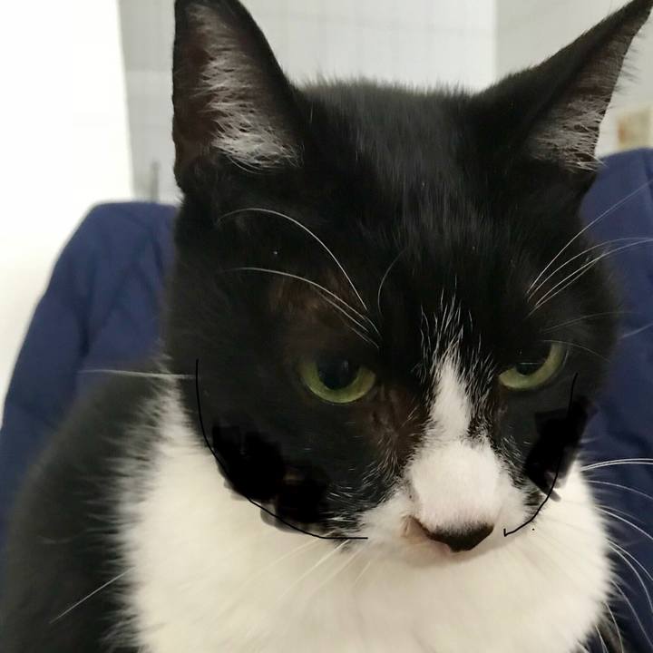 88110749 d963 4d38 b9a1 5785fc995f98 1517117319707