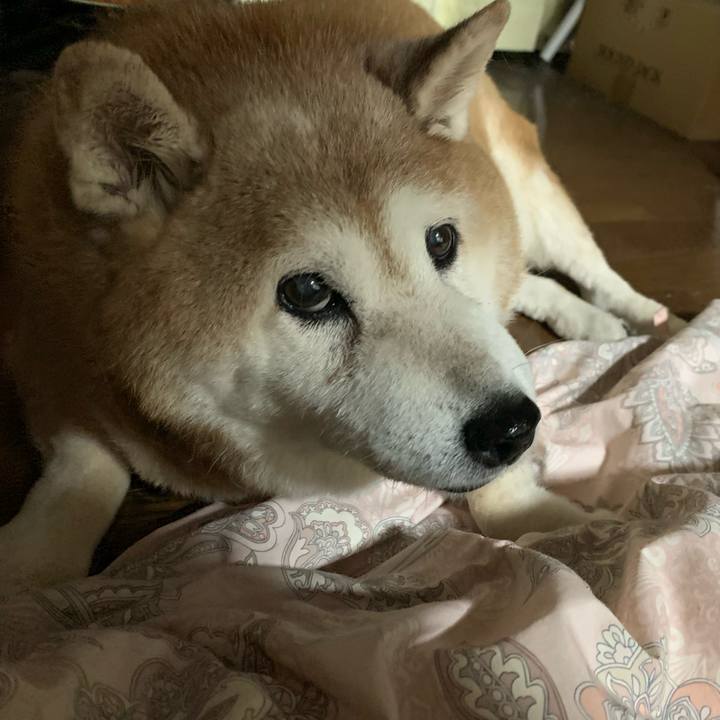 88112846 9e18 4aea ae20 46fd5bd0a162 1631762129267