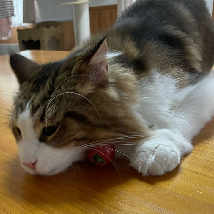 881141b7 4342 462c 9e84 0b8e980a53c6 1664485647092