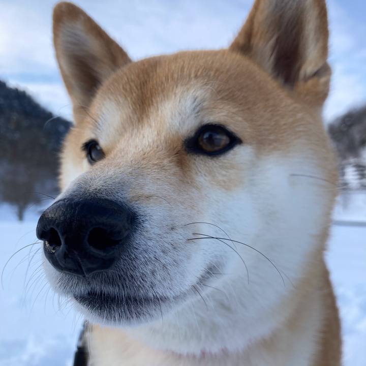 8811456a d121 473e 8725 af5c71fd6723 1642994104195