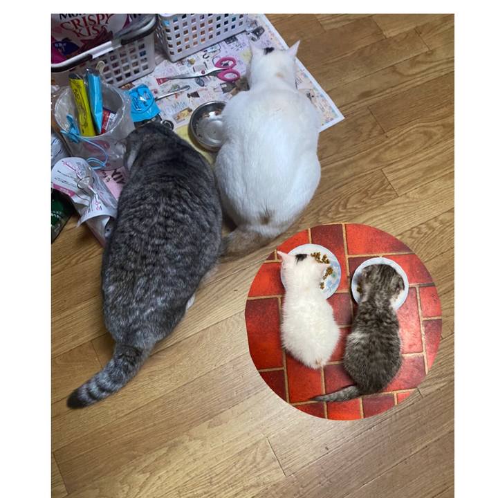 8811476a 12e2 4dec b9a7 40a43fb5a007 1615933622484